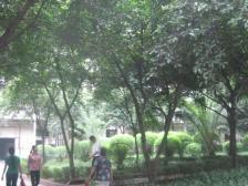 桂花园体育馆 新都巷小区 2室1厅好房出售