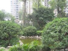 两路口 广璐大厦三房118万