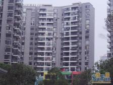 滨江庄园 南北通透,采光好 中间楼层