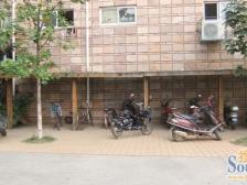 枫庐新天地 中间楼层