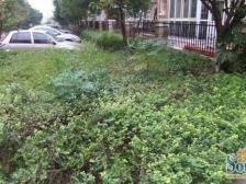 户型通透户型,居住实用率高,小区配套设施齐全,