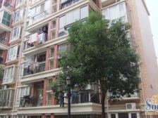 枫庐新天地 装修好,环镜优美 视野好,诚心出售