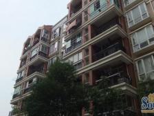 枫庐新天地 装修好,环镜优美 视野好,诚心出售