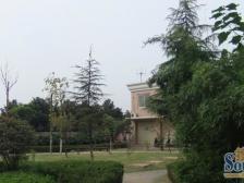 房子交通便利,生活方便,配套齐全,生活成本地。