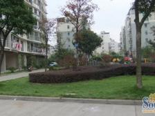 凤凰城二期凤翔苑 南北通透,采光好 装修好,环镜优美 近地铁 中间楼层