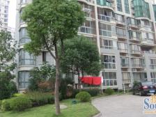 凤凰城精装三房师大旁业主诚心出售看房方便