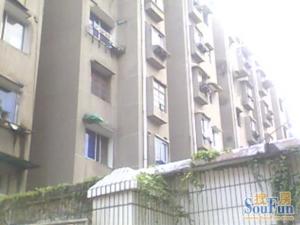 育新单位正规大三房人民公园旁边楼层好有院卫停汽车