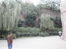 九龙坡区动物园轻轨站 下车即到 正规三室 出售