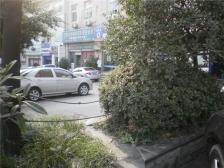 楼层好采光好,大户型,以居家,出行便利