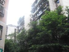 杨家坪 金汇园三房140万