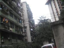 杨家坪 金汇园四房