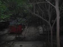 杨家坪步行街旁 大阳台 南北朝向