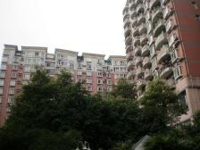 急售好房 刚需 拎包入住 离奥体广场近