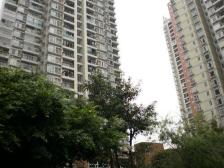 奥体,袁家岗轻轨站,精装四房,出行方便