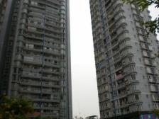 谢家湾本校书包+万象城+双轻轨,人生新起点