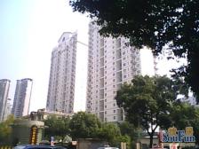 广场南路 视野好,诚心出售
