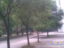 旅游商贸学校 南北通透,采光好 视野好,诚心出售