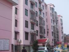 三经路 南北通透,采光好 视野好,诚心出售