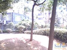 新田绿洲 装修好,环镜优美 中间楼层