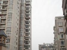 高新大道 南京东路 怡兰苑户型方正