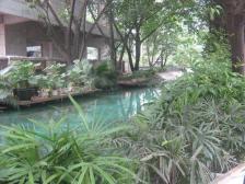 谢家湾 子龙公寓二房90万