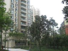 石桥铺 南方花园C5区三房77万