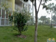 近轻轨。业主诚心出售,地理位置佳。