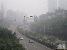 南坪万达广场 珊瑚旁 南华大楼 精装修四房 业主急售