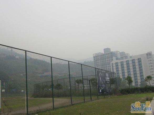 知园小区