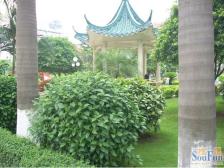 新天地华庭三期三房 业主诚意卖 随时可以看