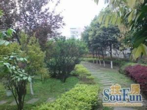 瑞苑 4室1厅 东南