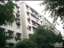 鱼洞 刘家岗小区三房30万