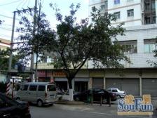 樟木头大润发旁边龙腾花园四房业主诚意放卖