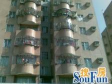 龙都花园 大2房中间楼层,实用,公摊面积小。