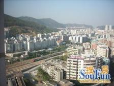 新城市广场 3室2厅 南