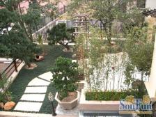 粤港花园高楼层,朝东,业主诚意出售