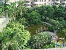 粤港三期高层大两房,视野宽阔。采光好,