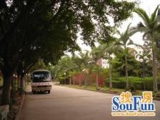 新城市花园,低层双阳台朝南2房,过五唯一,诚意出售