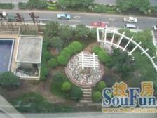 此房满五唯一 楼层高,朝向好,采光好,诚心出售