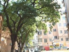 爱国路,市中心,临近地铁2号站,房东诚心卖,价格有谈