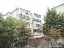 阳明路 南北通透,采光好 近地铁 视野好,诚心出售