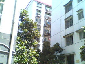 桃苑西路百树小学宿舍近地铁中间楼层