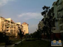 花园角 通透户型 大户型 拎包入住 全天太阳