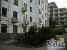 经典朝南两房,带院子,山塘街对岸,交通便,配套齐