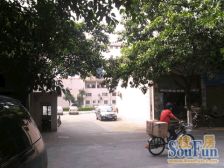 富兴苑 3室2厅 南 北