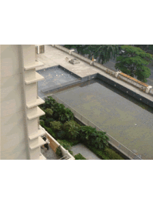 香榭丽 2室1厅 南 北