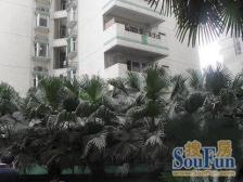 长富宽广大三房 价格实惠可谈 看房提前预约