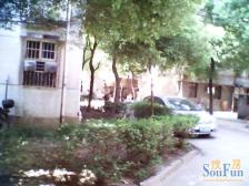 丰和苑小区 南北通透,采光好 装修好,环镜优美 近地铁 视野好,诚心出售