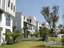 莘松路网红楼盘。豪华装修三年多。专属维护人