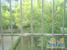 诚心出售 地铁8号线杨思路站,小区中间位置,视野好